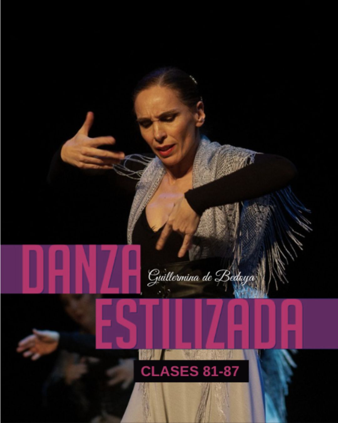 Clases de Danza Estilizada 81-87